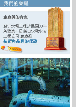 金廈獎的肯定